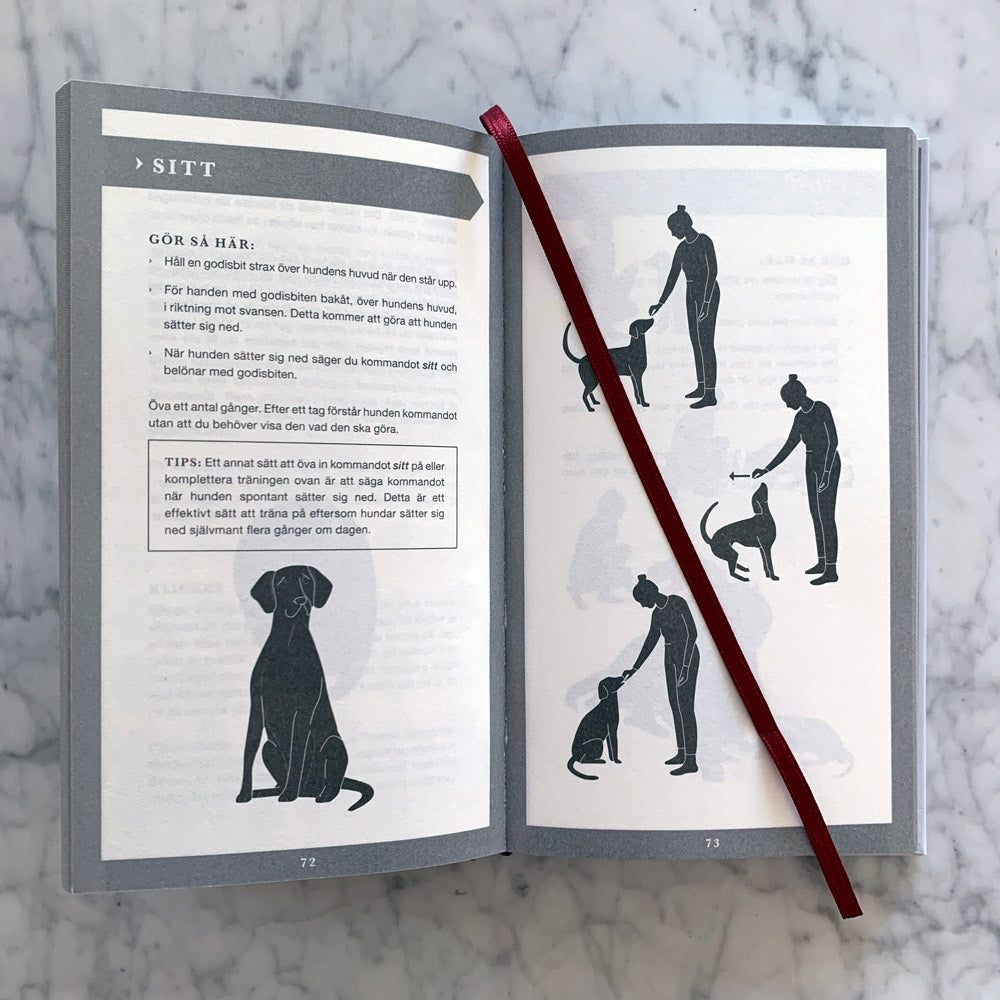 Den ultimata handboken HUND