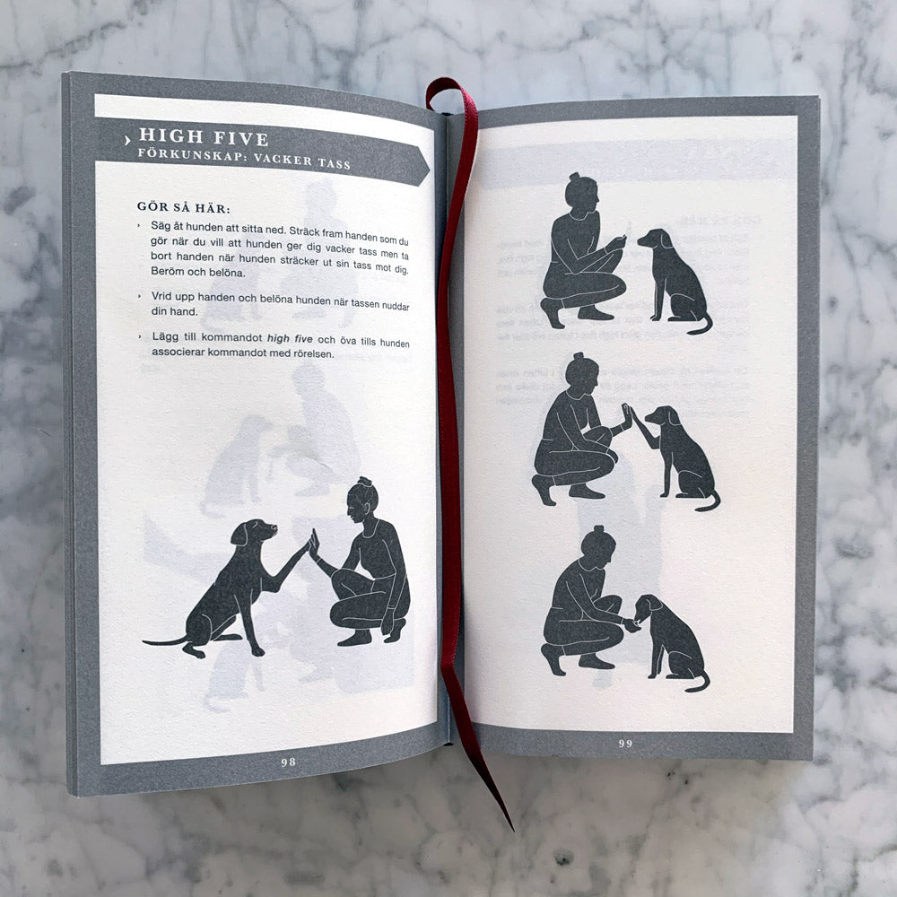 Den ultimata handboken HUND