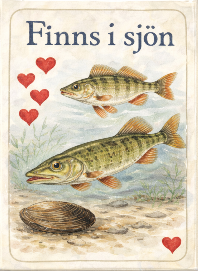 FINNS I SJÖN : Snabbquiz