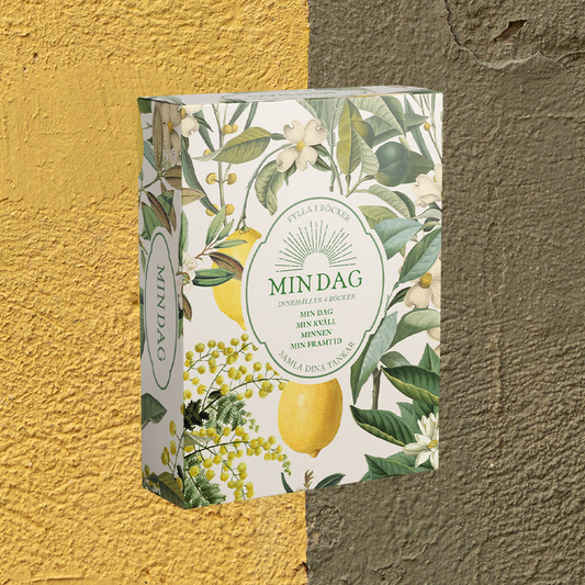 MIN DAG : Min dag, Min kväll, Minnen, Min framtid
