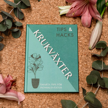 Tips & Hacks: Krukväxter