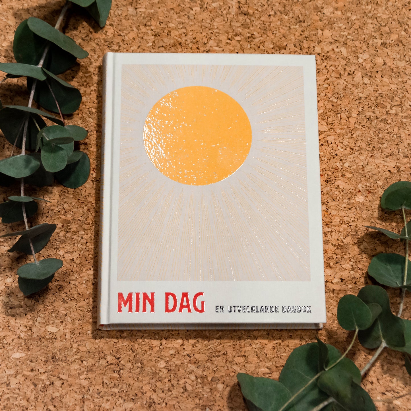 Personlig utveckling: Min dag